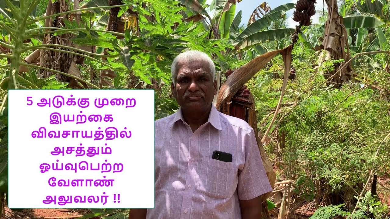 5 அடுக்கு முறை இயற்கை விவசாயத்தில் அசத்தும் ஓய்வுபெற்ற வேளாண் அலுவலர் !! | 5 adukku murai iyarkai