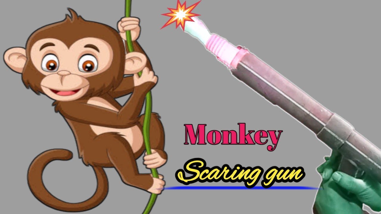 How to make monkey scaring gun at home || Monkey gun only sound no harm ||