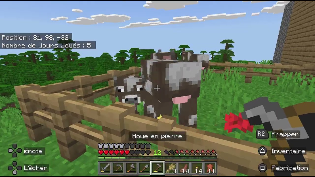 Des videos Minecraft ep 5