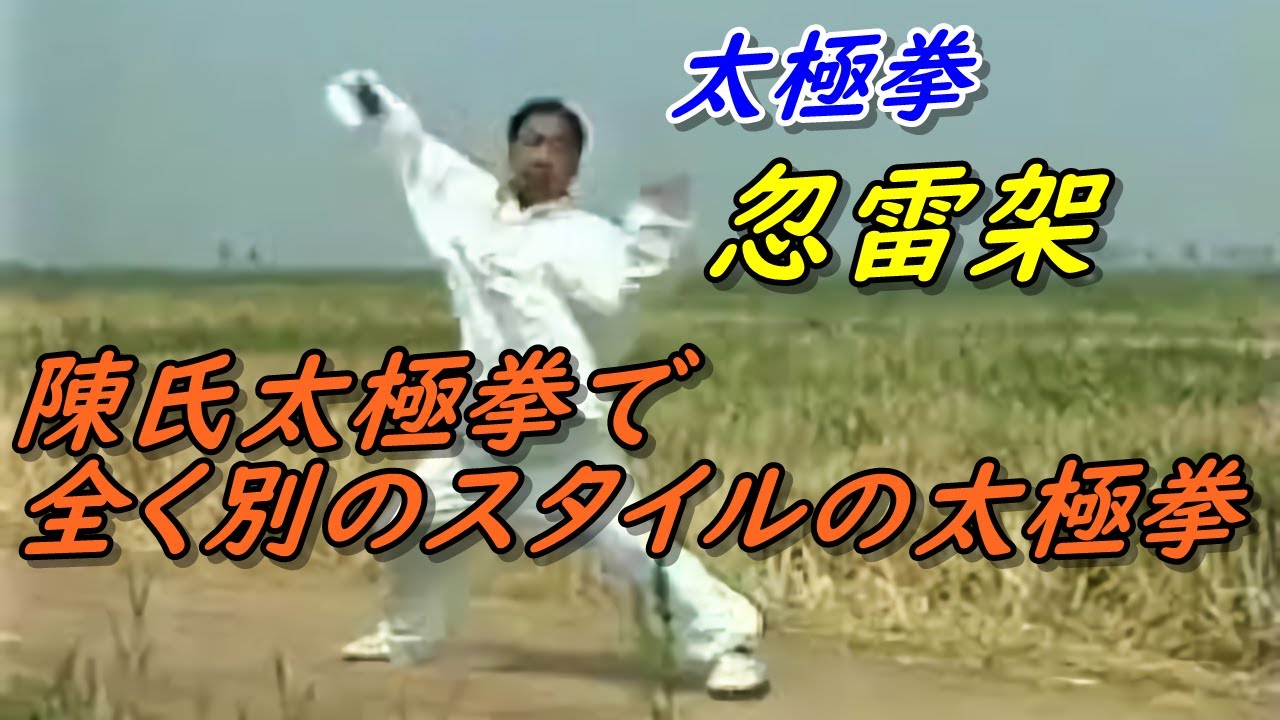 【太極拳とは別物】忽雷架は稲妻のような動きで激しく剛猛！ tai chi chuan 張隨勝.