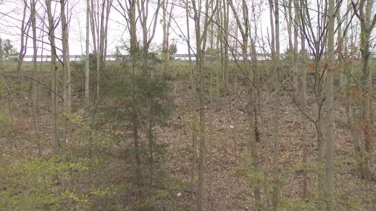 Body found in the woods off I-80 in Clearfield County, troopers investigate