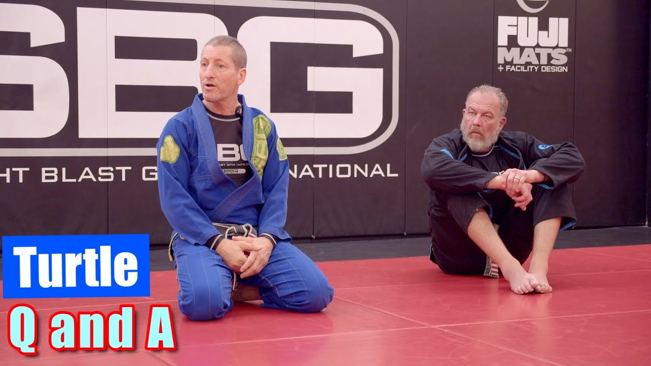 Turtle Q and A with John Frankl