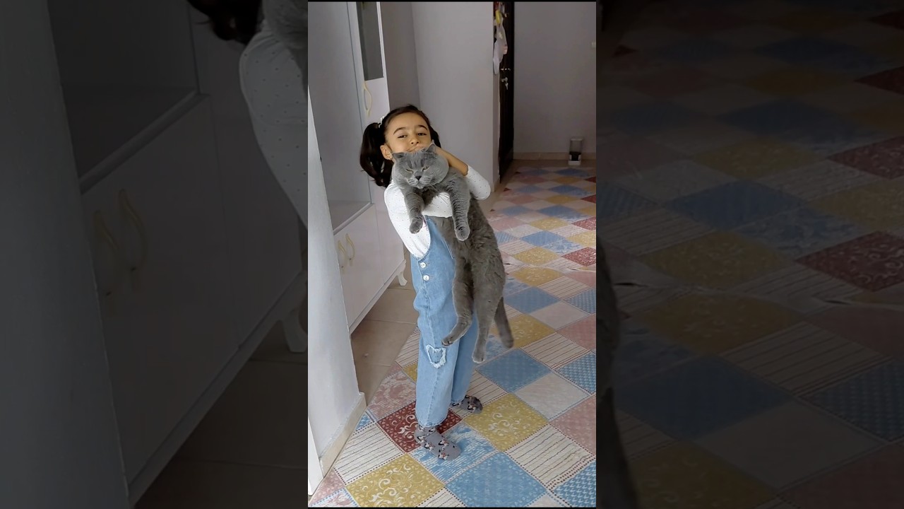 kediye ne olduuuu 🙄🙄#oyun #keşvet #beniöneçıkart