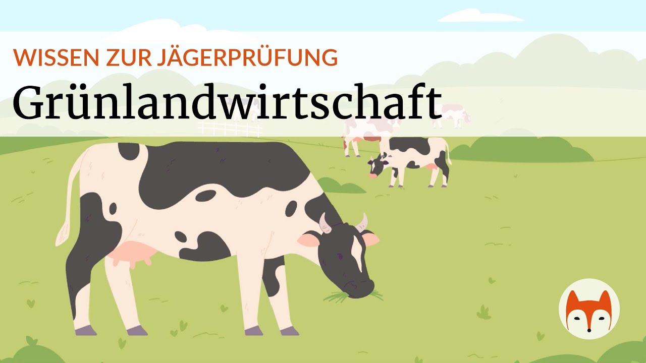 🌿 Land- & Waldbau – Grünlandwirtschaft einfach erklärt - Vorschau