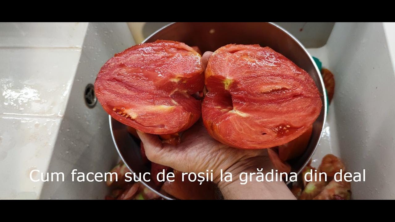 Prima tură de suc de roșii! Cum facem la grădina din deal sucul de roșii pentru iarnă?