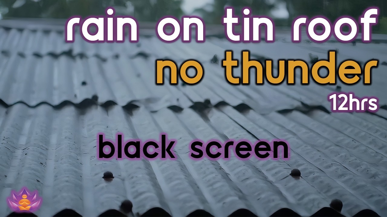 [Black Screen] Tin Roof Shelter Rain – No Thunder | Rain on Roof | Rain Sounds for Sleeping