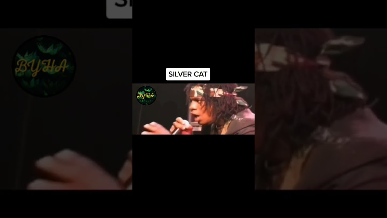 Silver Cat Freestyle Send Gaza Man A Gaza