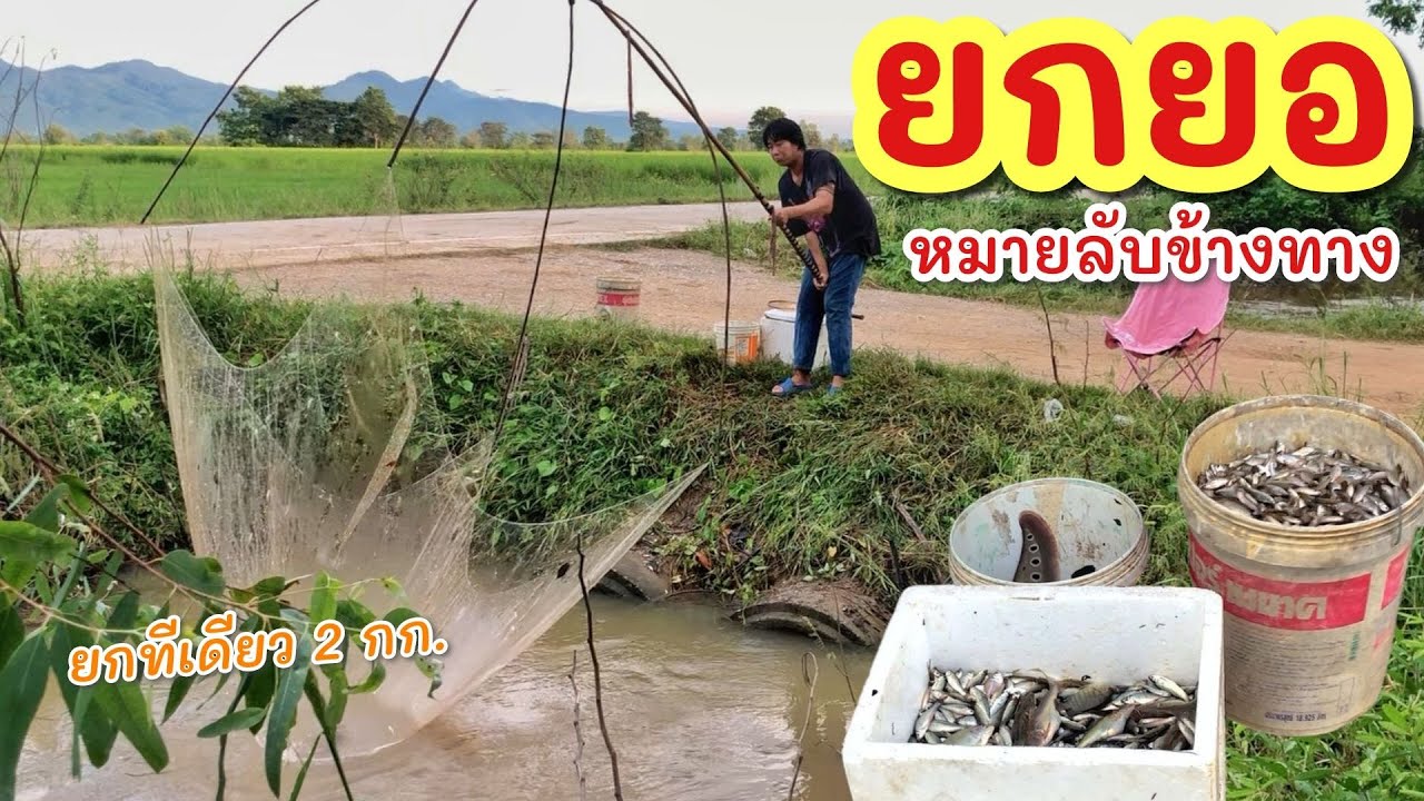 ยกยอ ปลาลั๊ว ►Fishing lifestyle Ep.853