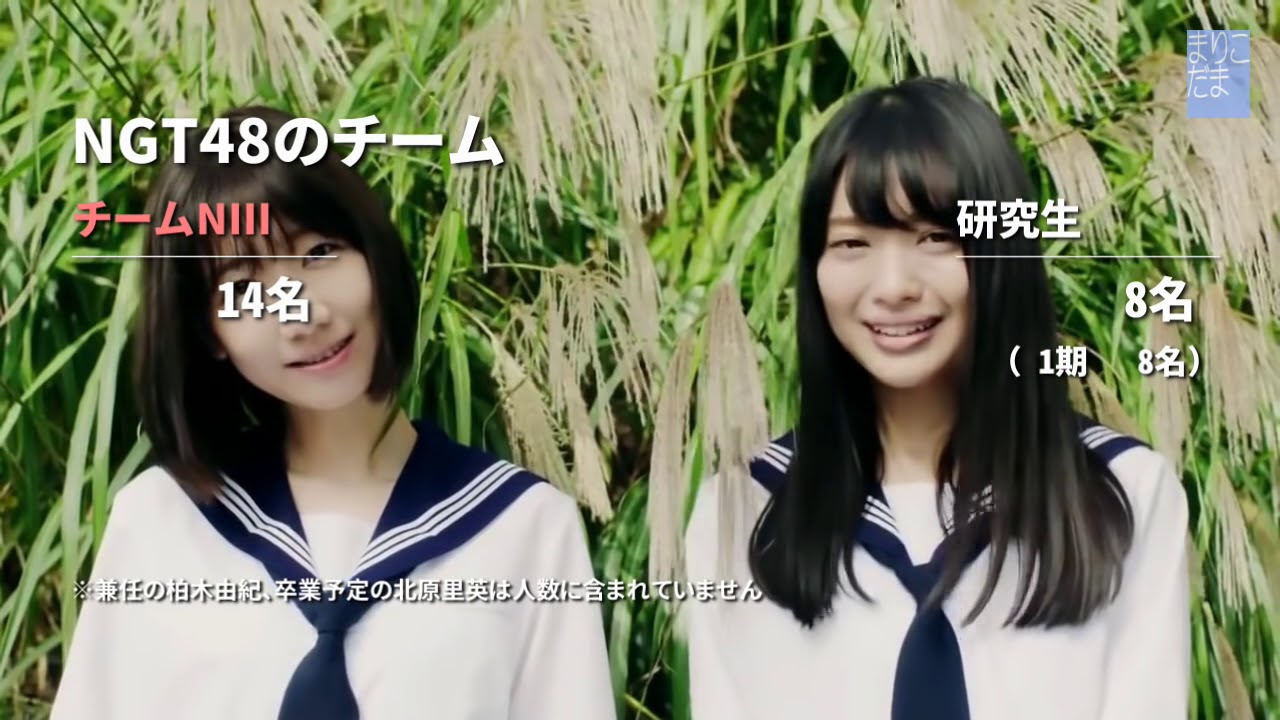 （1月19日更新）AKB48グループドラフト３期候補者リスト【完全版 14 ファイナル】（希望チーム別・年齢順）