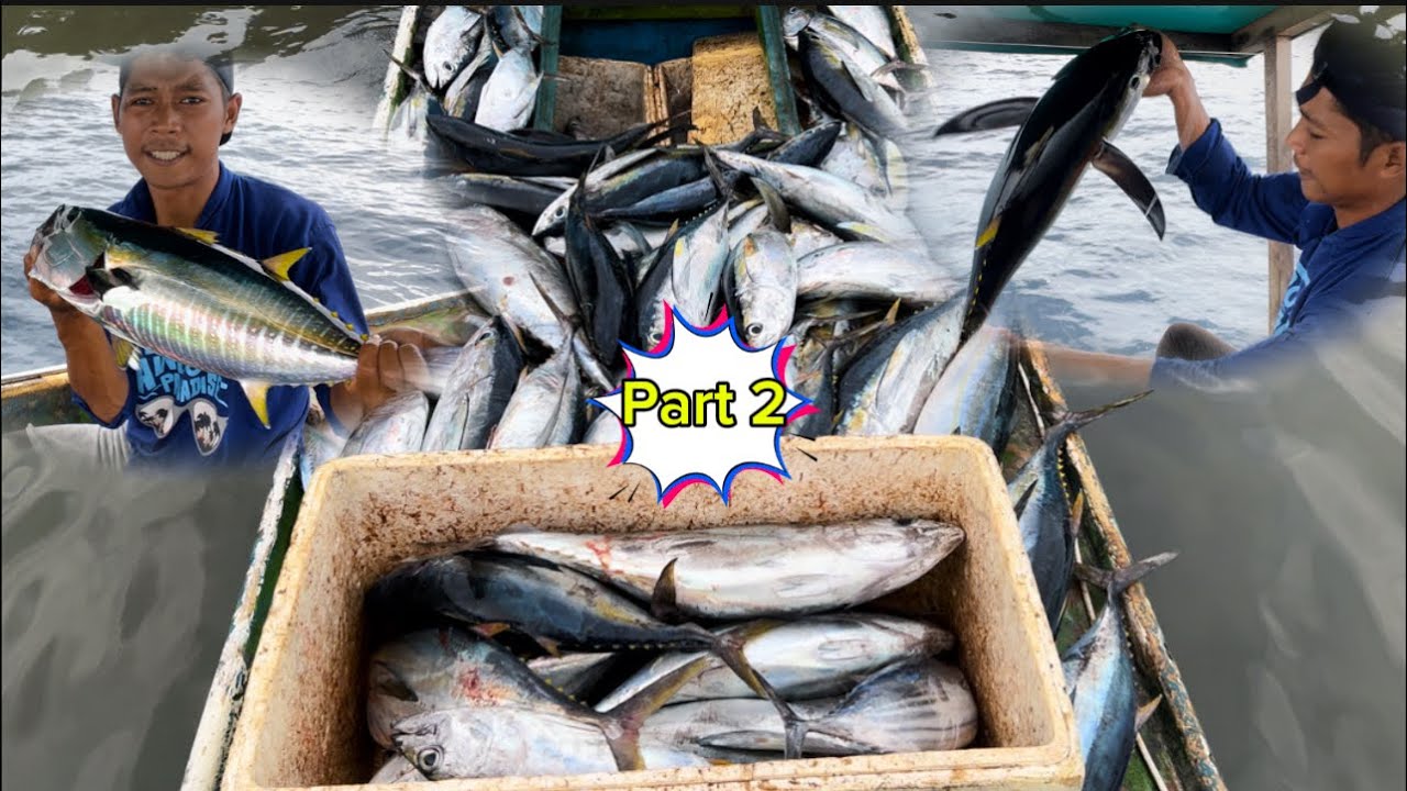 Part 2 ||  mancing dan bongkar perolehan hasil satu hari