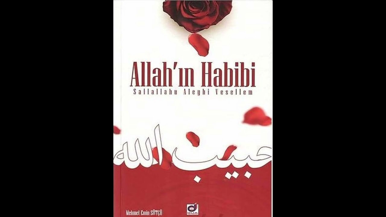 Allah'ın Habibi - Sesli Kitap - 19 - 2026 - Peygamber Sevdalıları Platformu - 3. ve 4. Kategori