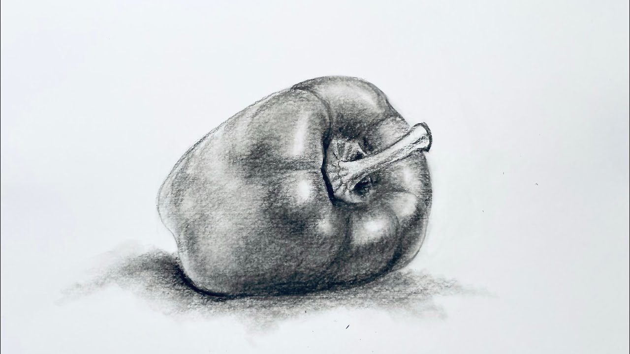 How to draw a capsicum | Charcoal pencil drawing