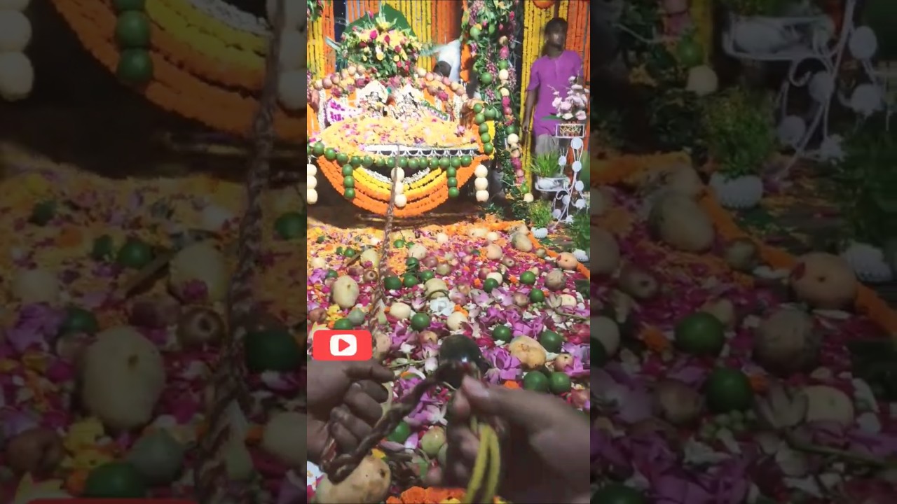 Jay Radha Krishna #radheradhe #radheshyam #vindhavan