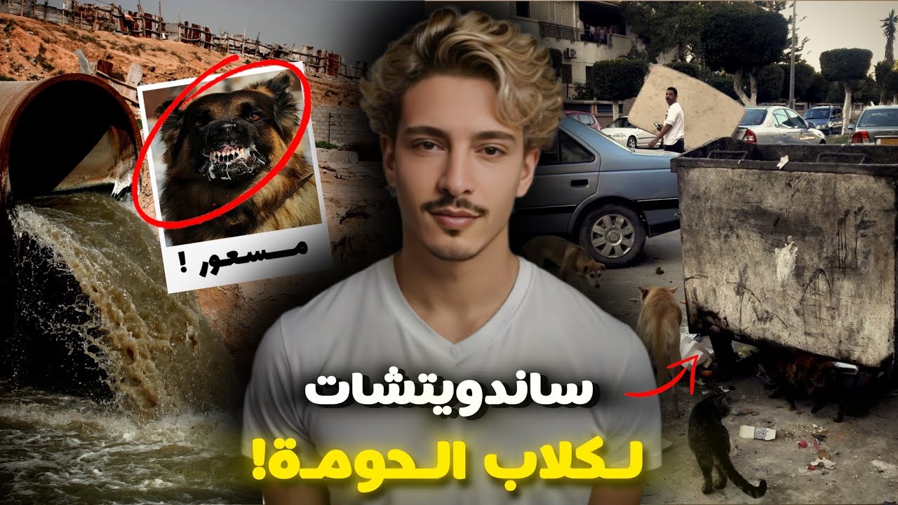 مجهول يرمي أكياس بلاستيكية يومياً للكلاب في القمامة، مجاري الصرف الصحي حلو القضية. شنو كلاو الكلاب؟