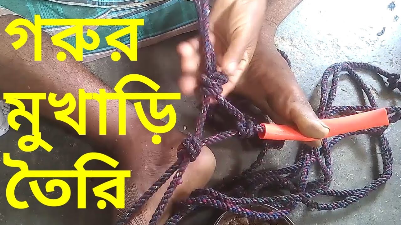 গরুর মুখারি কিভাবে বানাবেন । গরুর মুখের রশি বানাবেন কিভাবে । গরুর মুখারি