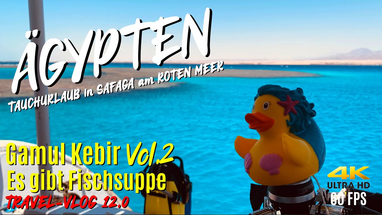 Tauchen in ÄGYPTEN - Gamul Kebir Vol.2 