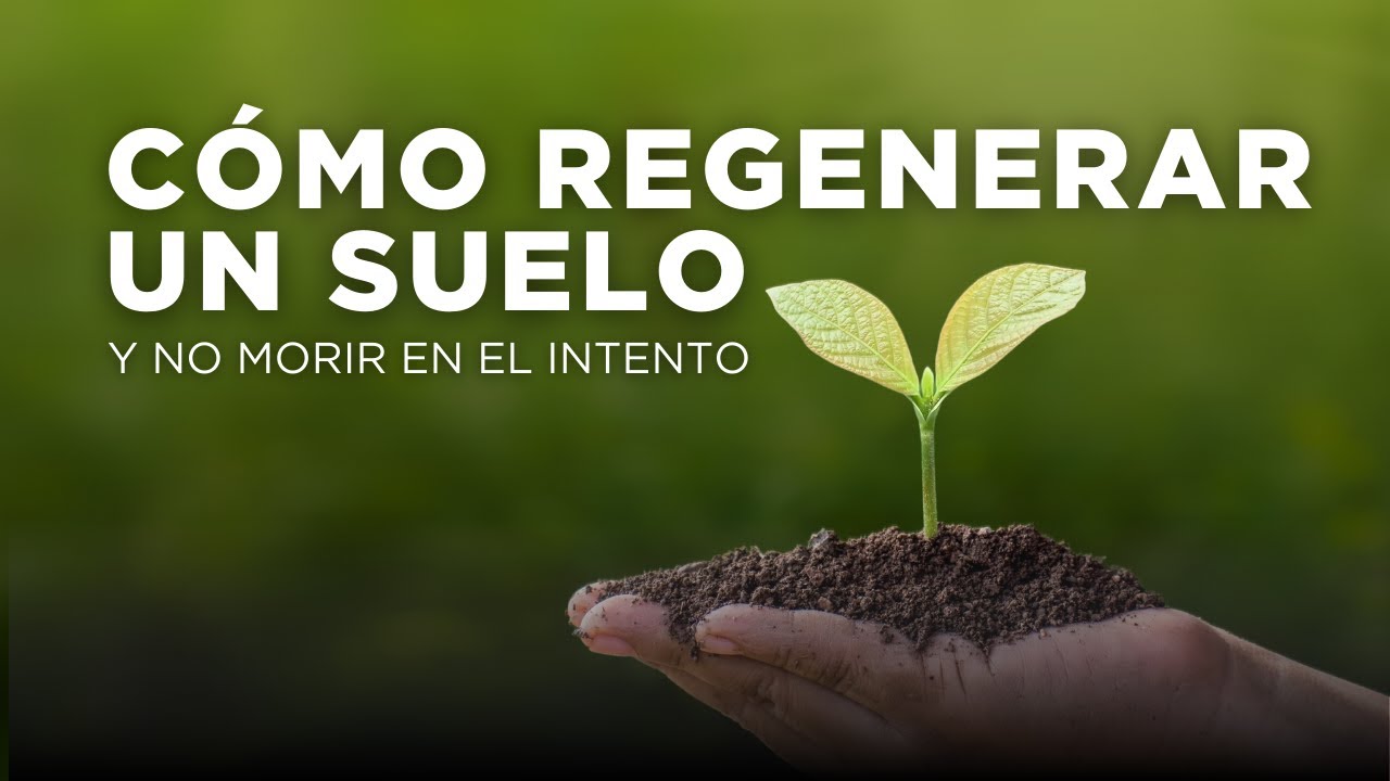 Cómo regenerar un suelo y no morir en el intento