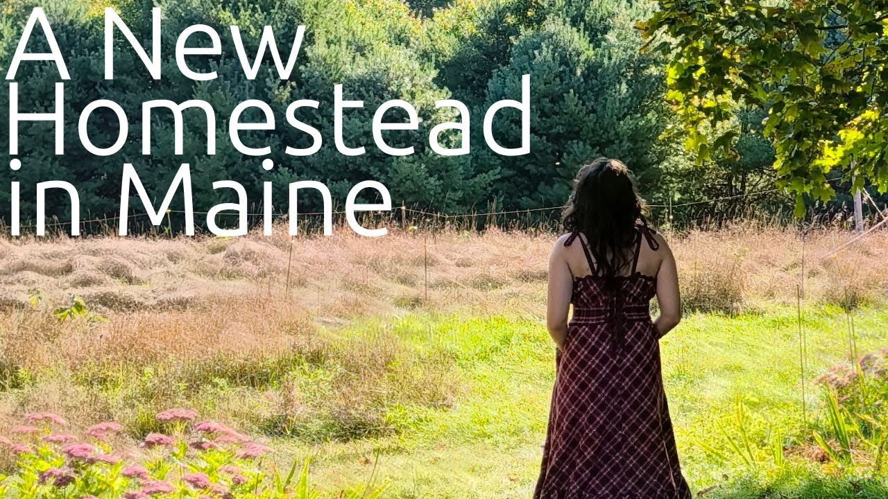 The start of a homestead in Maine