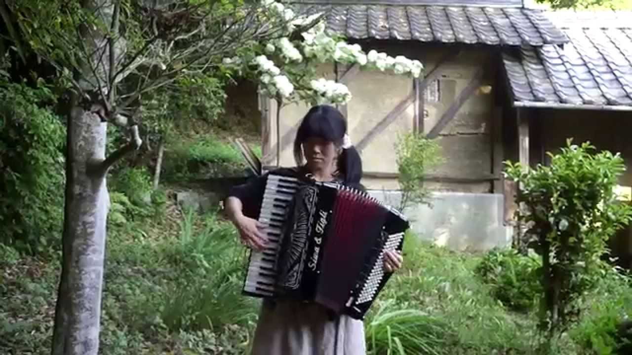 タッチ　岩崎良美　アコーディオン　Touch 　Accordion