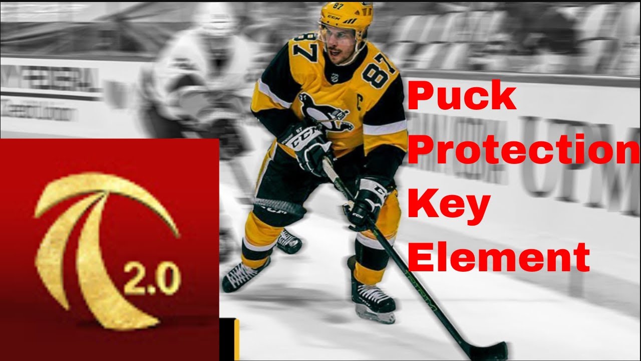 Sidney Crosby Puck Protection Key Element