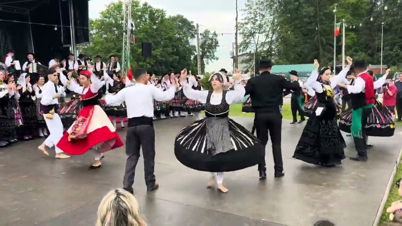 Cana verde minhota - AFP Saudades de Portugal