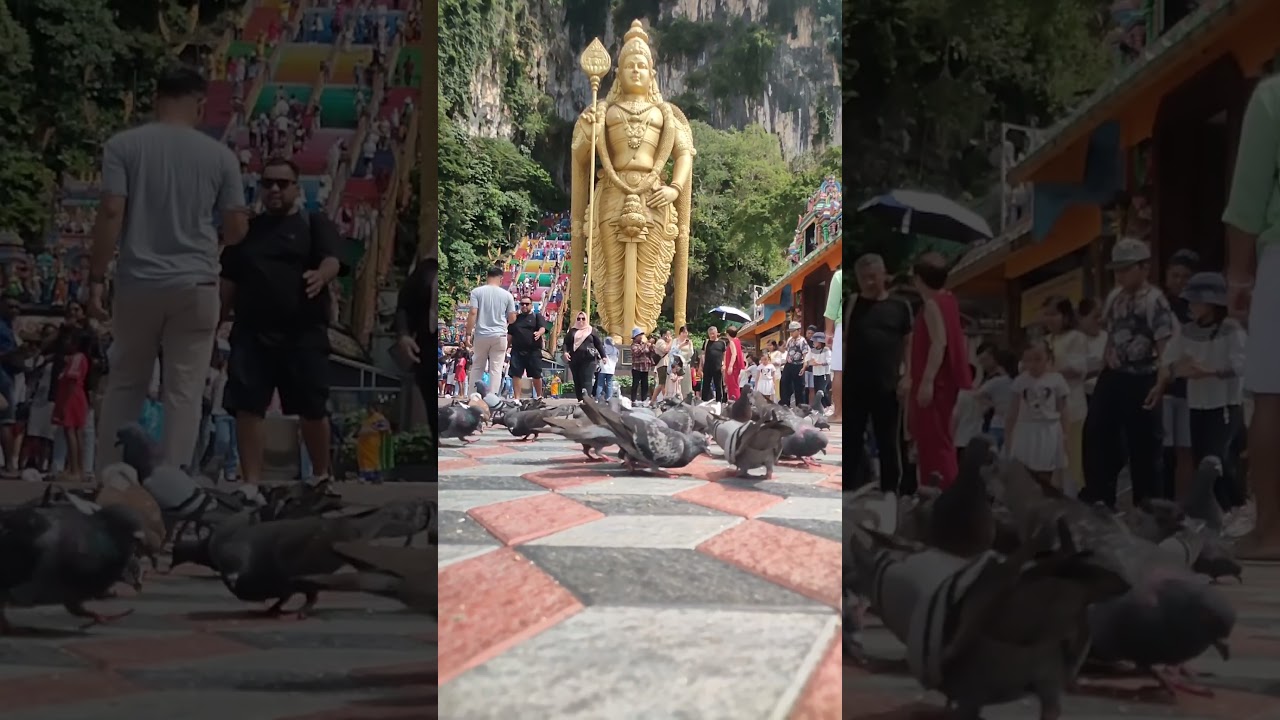 Batucaves 2025 before thaipusam. #thaipusam #thaipusam2025
