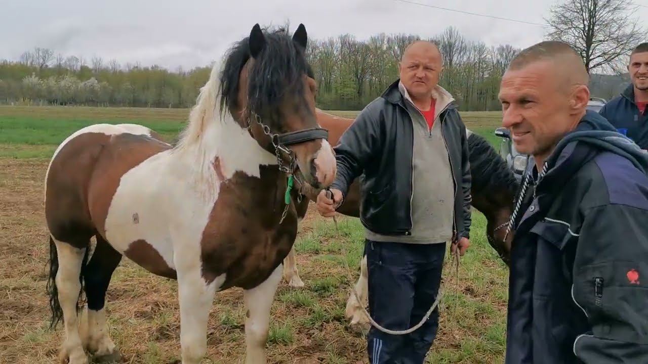 Straparijada Gornja Mravica 2022