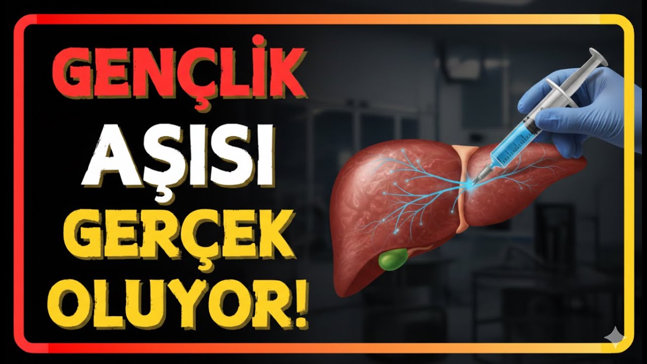 Karaciğer AŞISI Yaşlılarda Bağışıklığı Güçlendiriyor!
