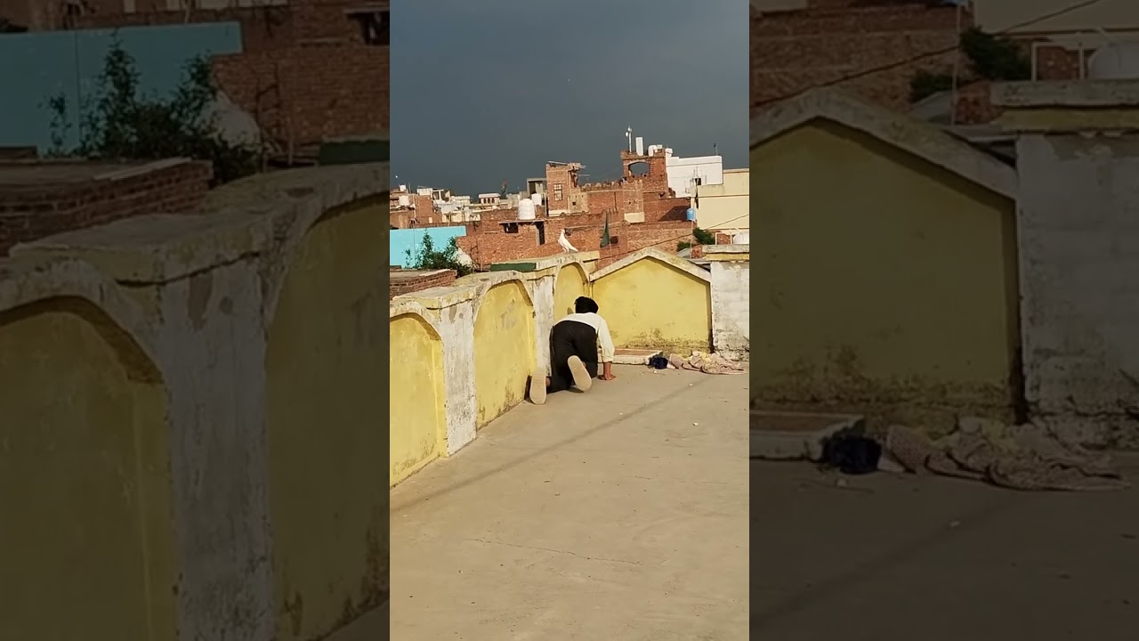 कबूतर पकड़ने की न्यू ट्रिक 😍😍 Viral Video // Zaid Warsi Official