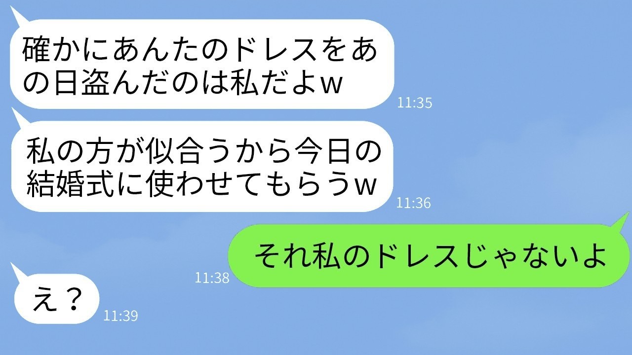 結婚式当日ドレスが盗まれて中止→数日後、姉が盗んだドレスで現れ…衝撃の因果応報！