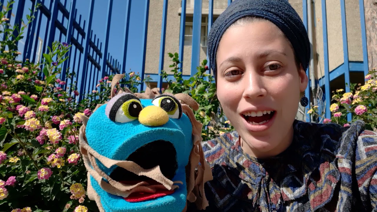עונת האביב🌺🌼