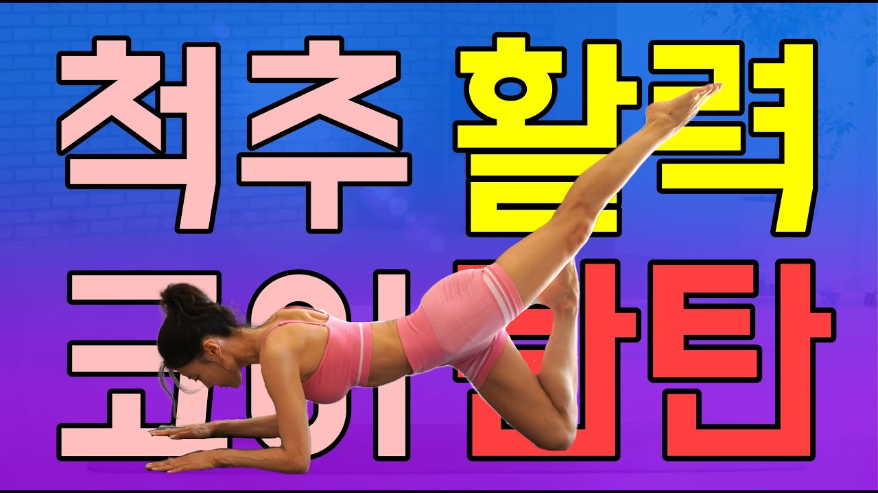 [건강을 디자인하는 필라테스 닥터]  척추 활력 코어 탄탄!!