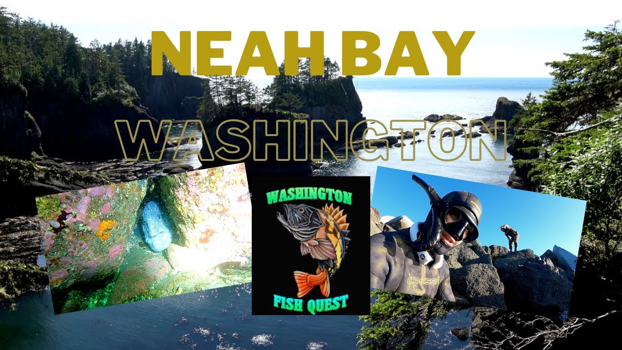 Washington Spearfishing Quest Ft Blake!
