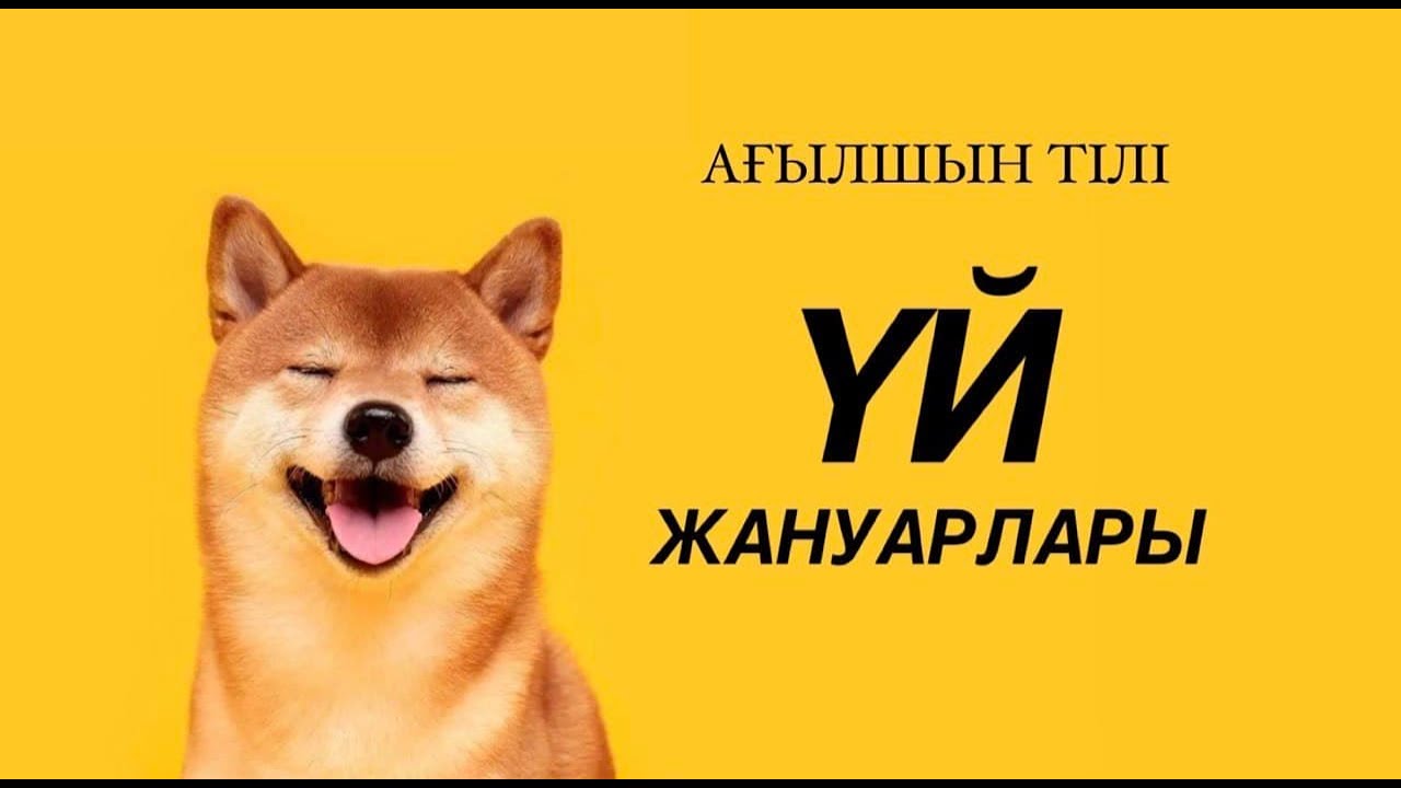 Ағылшынша үй жануарлар. Pets, Domestic animals, Farm animals