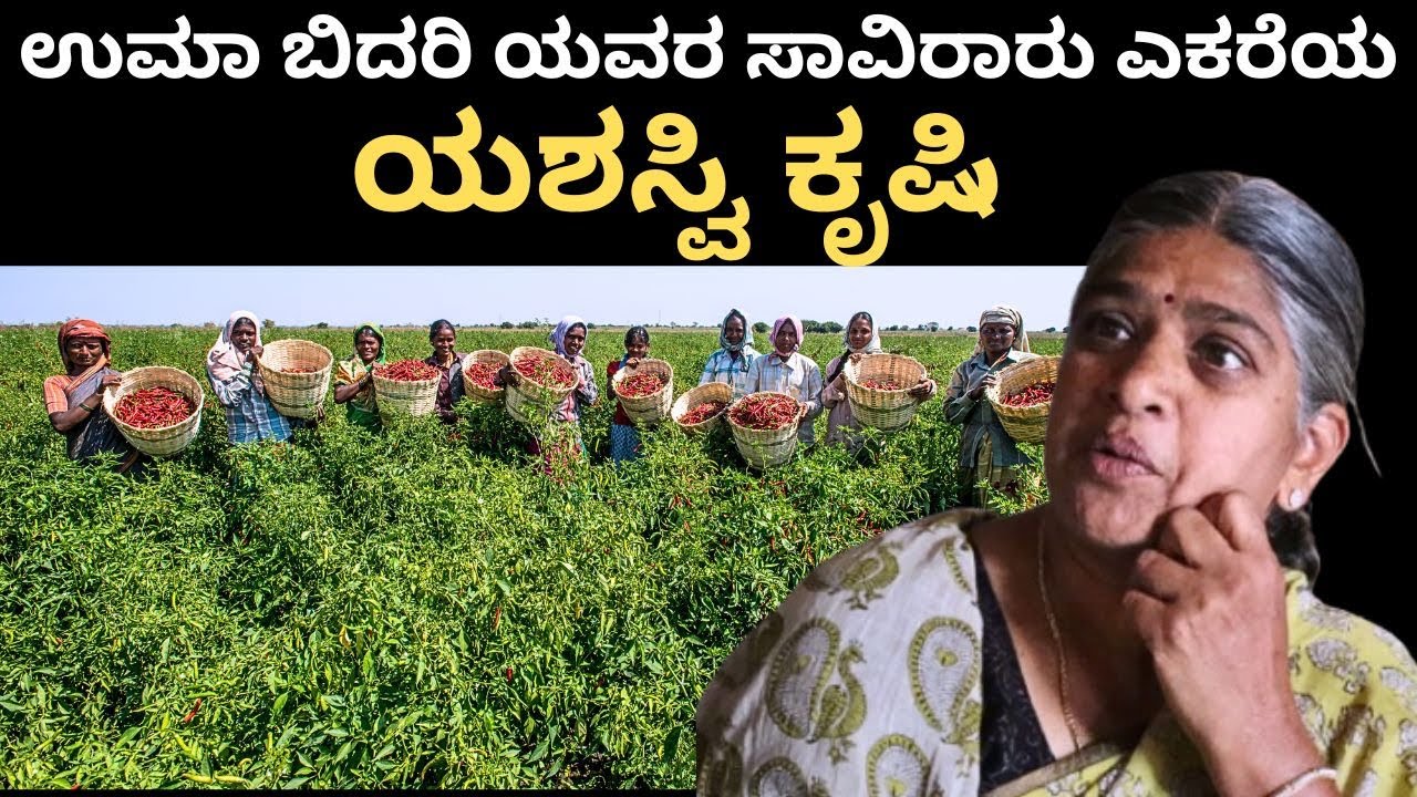 ಇವರು ಮಾಜಿ ಪ್ರಧಾನ ಮಂತ್ರಿಗಳ ಸೊಸೆ!!She is the daughter-in-law of former Prime Ministers!