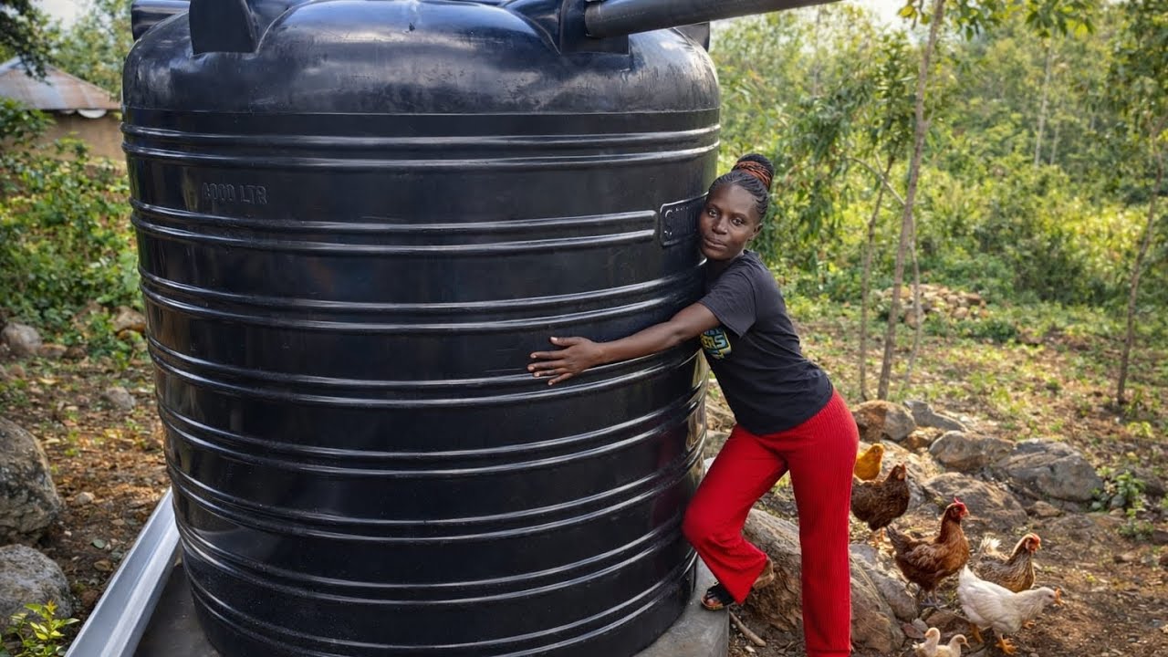 From Struggle to Progress 😭💪 New Water Tank Installed & Chicken House Complete🙏