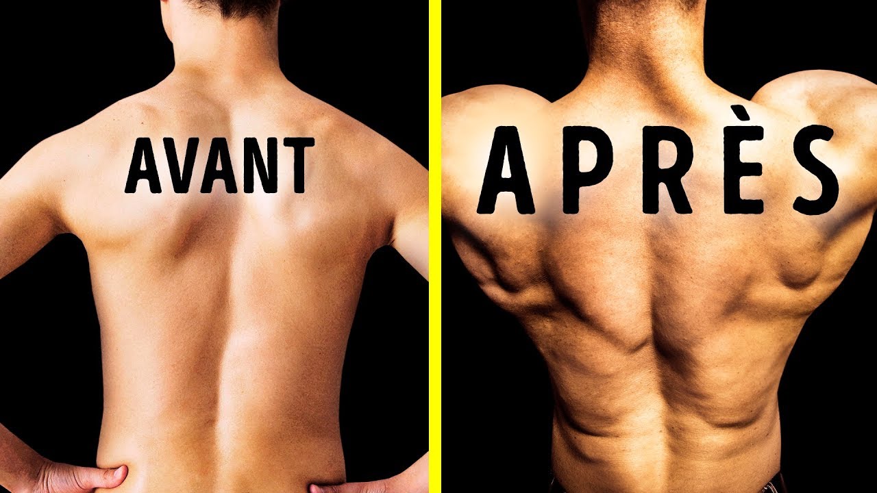 5 Exercices Super Simples Pour Avoir un Dos Plus Musclé