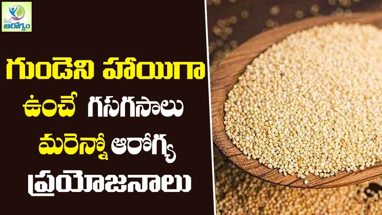 చిన్ని చిన్ని 'గసగసాలు' తో పెద్ద లాభాలు.. Poppy Seeds | Gasagasalu Health Benefits | Mana Arogyam