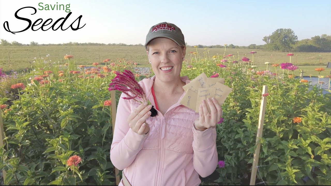 Save Your Flower Seeds! | How To 💐