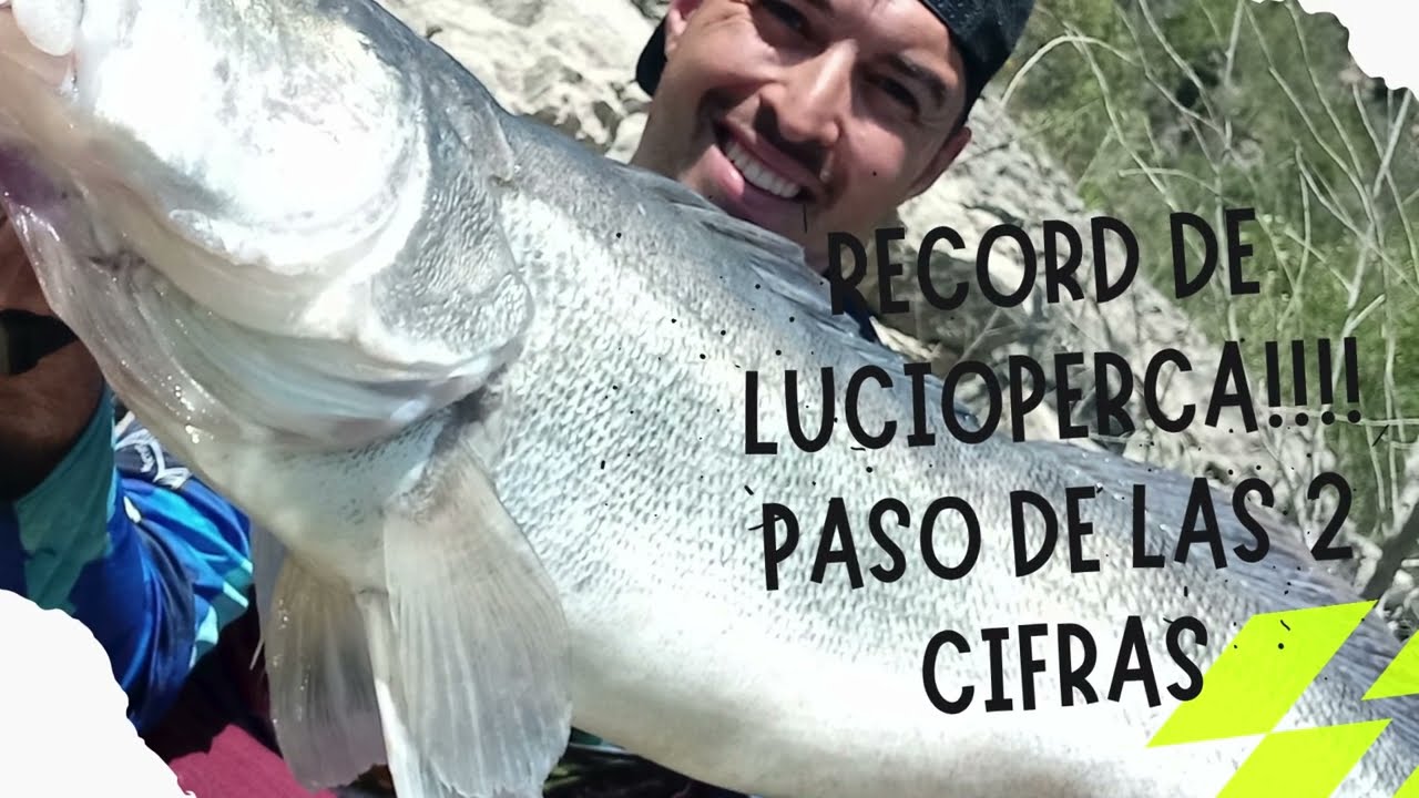 RECORD DE LUCIOPERCA!!!! +10k +100cm💥Monster zander🥇