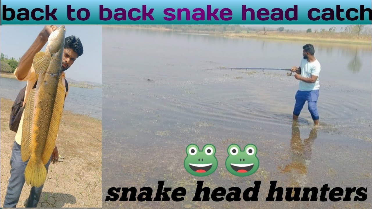 snake head fishing mural machli ka shikar