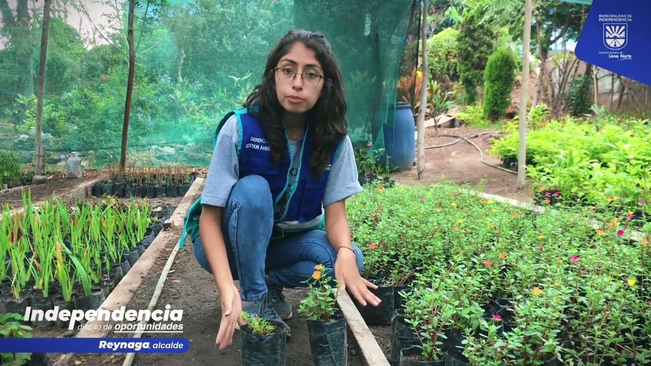 Taller de plantas Xerófitas - Municipalidad de Independencia