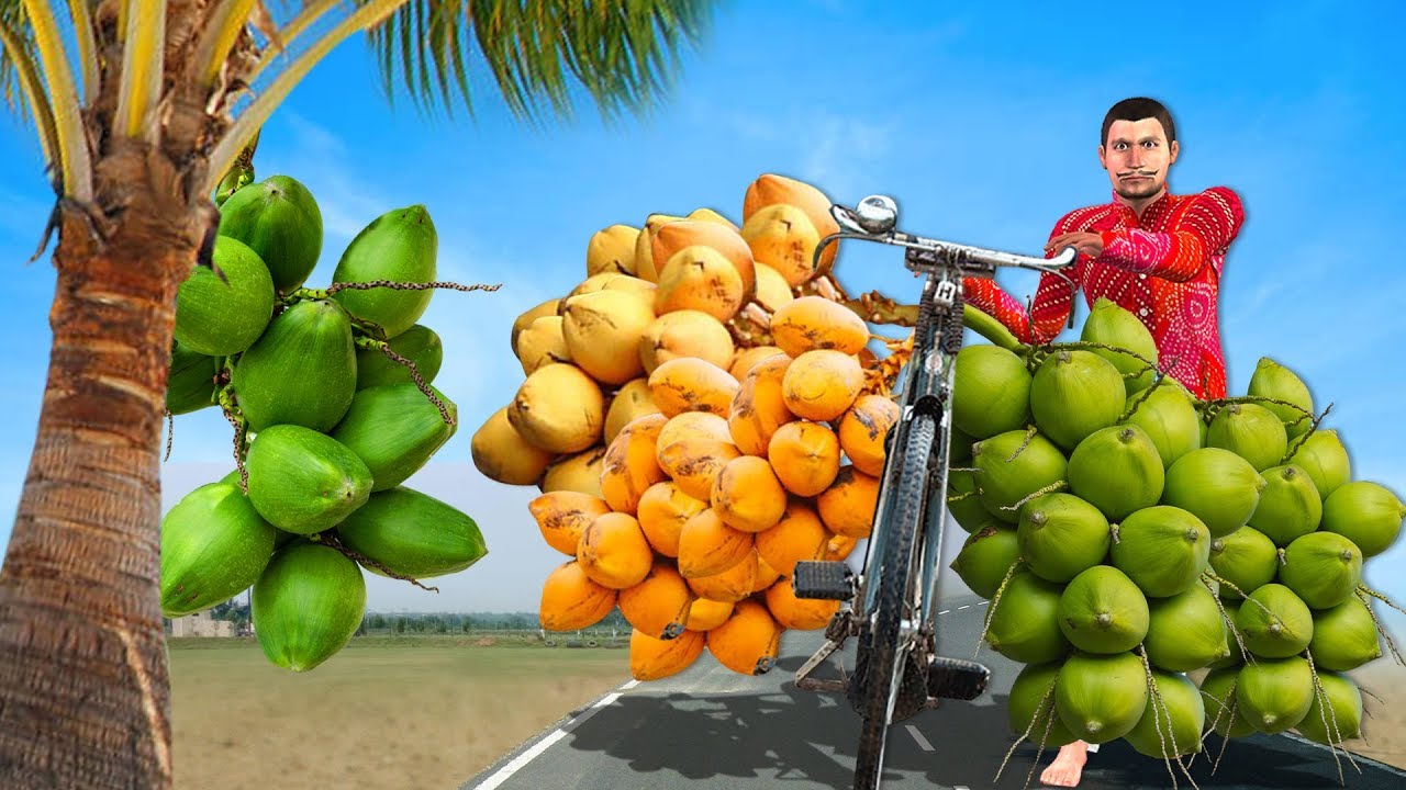 नारियल वाला की सफलता coconut seller Funny Hindi Comedy Video