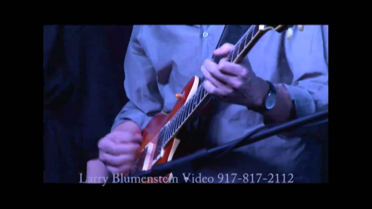 Jon Herington Trio Featuring The Steely Dan Singers- Pretzel Logic