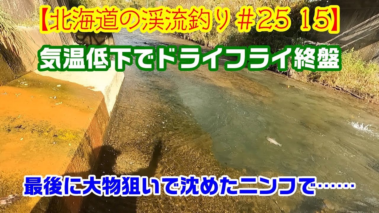 【北海道の渓流釣り＃25 15】《道央河川でフライフィッシング》ニンフで大物を狙うも… #渓流釣り  #北海道 #フライフィッシング #ドライフライ   #ニジマス ＃パラシュートアント