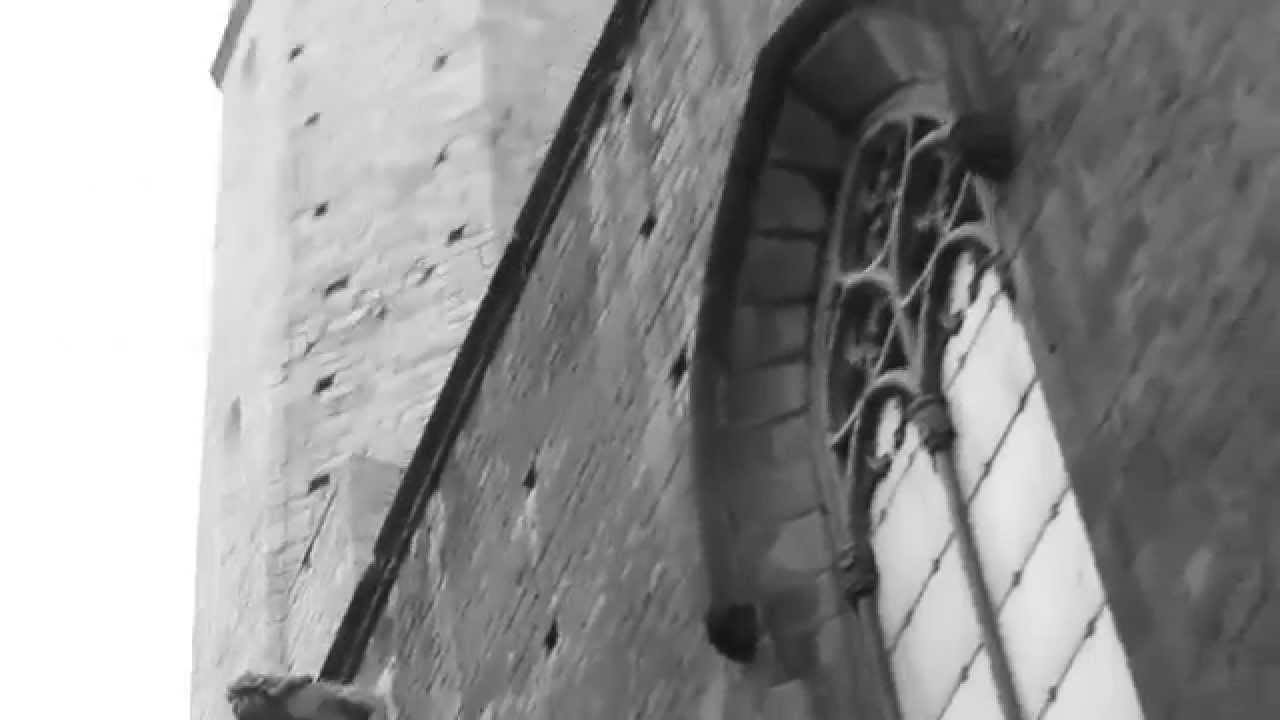 Barcelona Pukas Surf