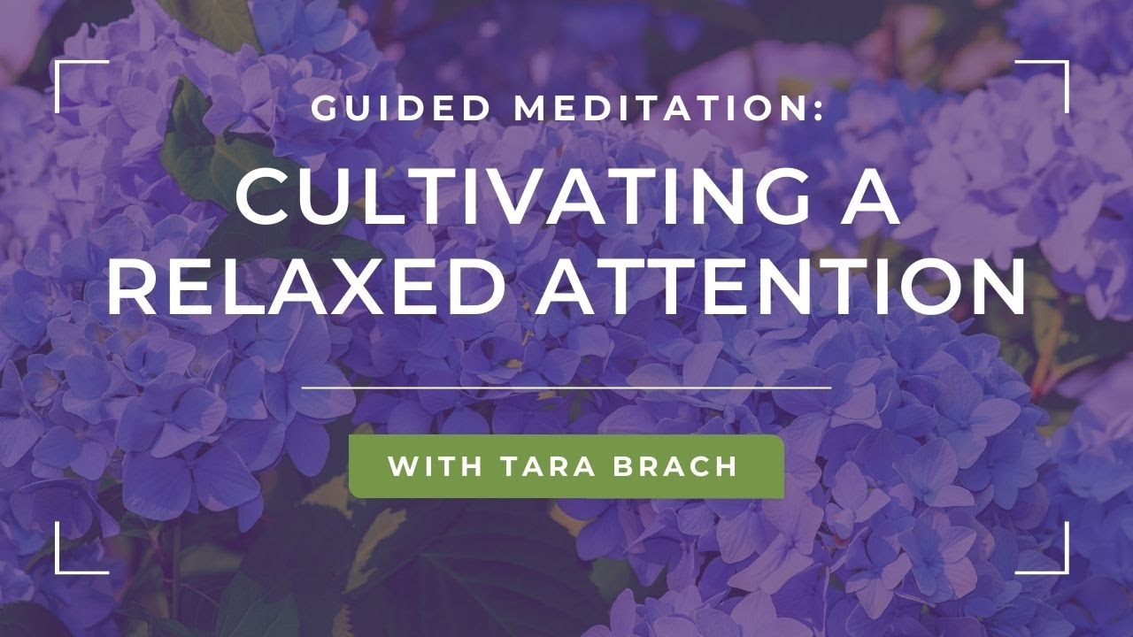Guided Meditation: Cultivating a Relaxed Attention with Tara Brach