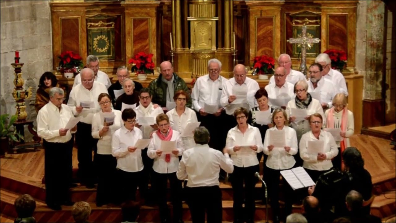 LOS ARCOS NAVARRA, CORO DE LOS ARCOS EN DESOJO, 2015-12-26-, Fede
