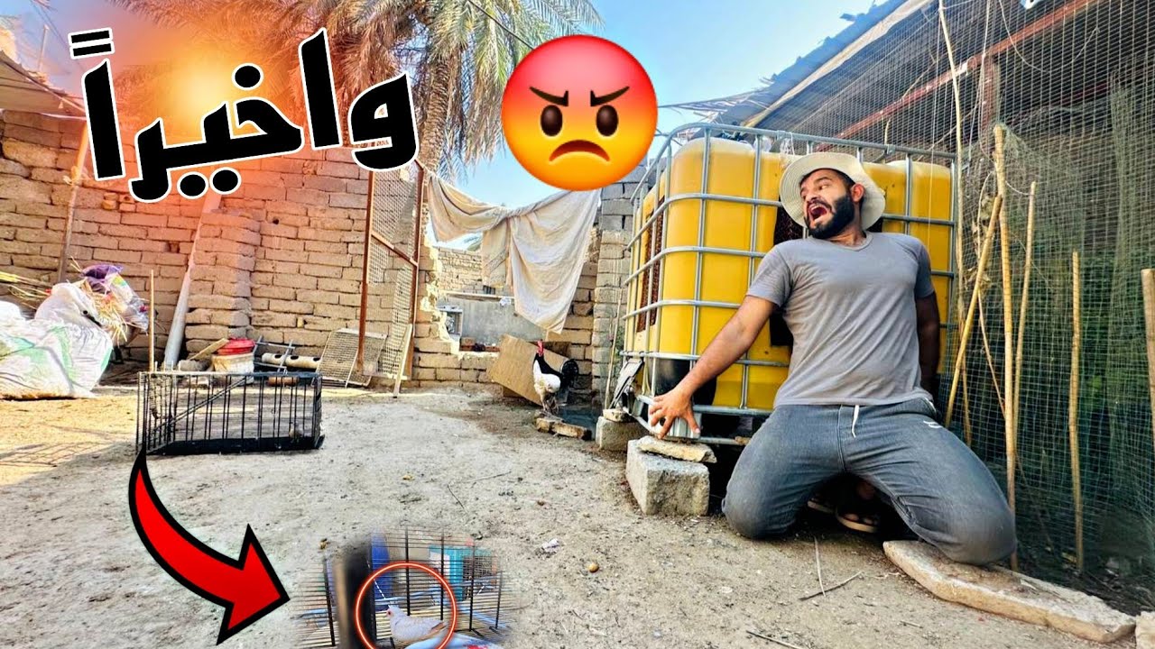 ناتج تجربت بيض الأسواق؟؟؟🤔