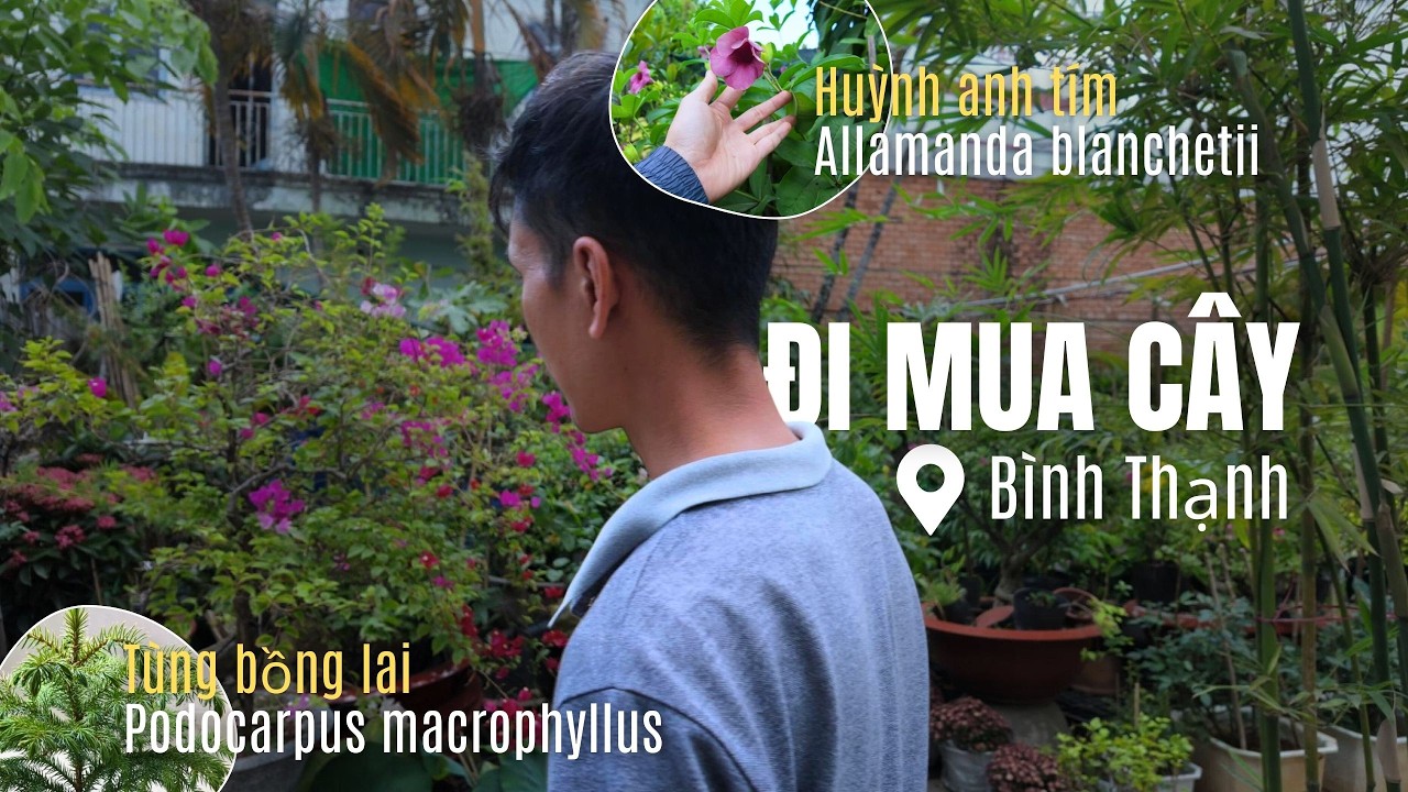 Vườn nhỏ mà đủ loại cây | Bình Thạnh | Đi mua cây #3